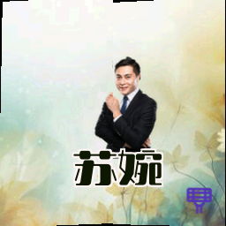 苏婉